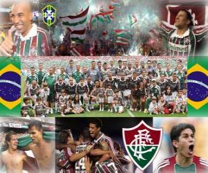 yapboz 2010 Brezilya Şampiyonası&#039;nda Fluminense Kulübü Futbol Şampiyonu